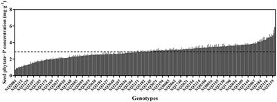 Targeting Low-Phytate Soybean Genotypes Without Compromising Desirable Phosphorus-Acquisition Traits